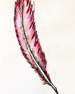 Feather in the wind