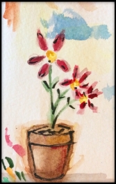 Little flowers in a pot